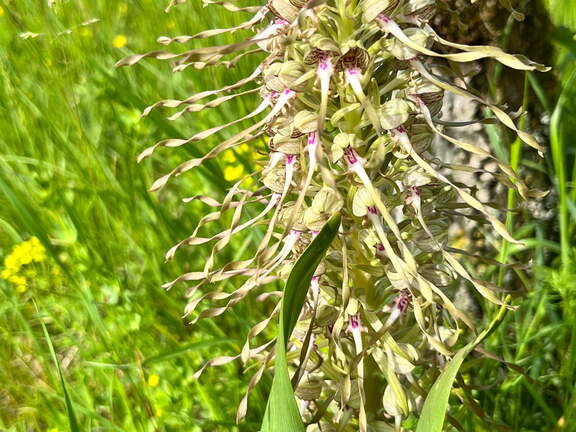 22-05-08 10-59-58 0759